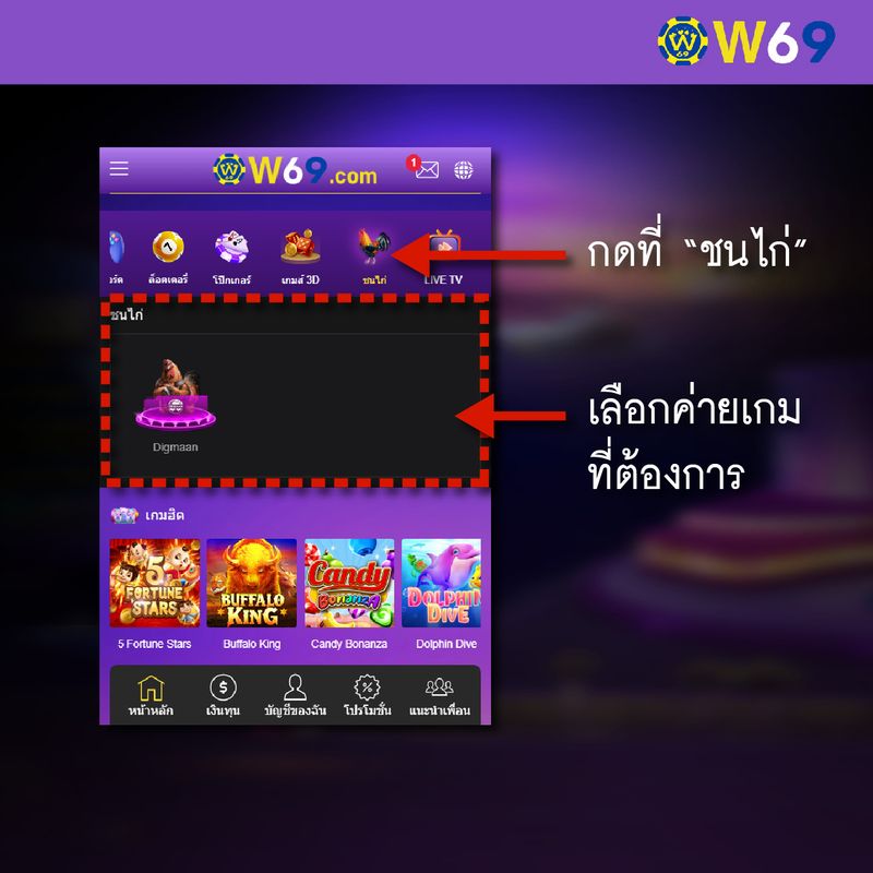 W69 เล่นชนไก่-01